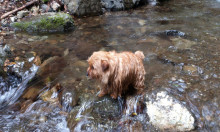 爪の悩みを解消！ネイルサロンオーナーのブログ