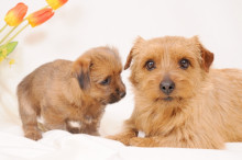 爪の悩みを解消！ネイルサロンオーナーのブログ