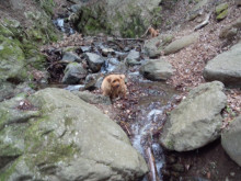 爪の悩みを解消！ネイルサロンオーナーのブログ