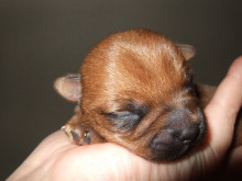 爪の悩みを解消！ネイルサロンオーナーのブログ